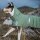 Extreme Warmer - der ECO Wintermantel für deinen Hund, grün
