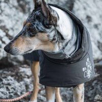 Extreme Warmer - an ECO winter coat for your dog, cinnamon