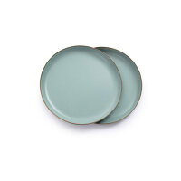 Large enamel plates set of 2 | mint