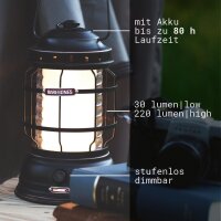 Forest-Lantern - the brightest rechargeable, dimmable LED...